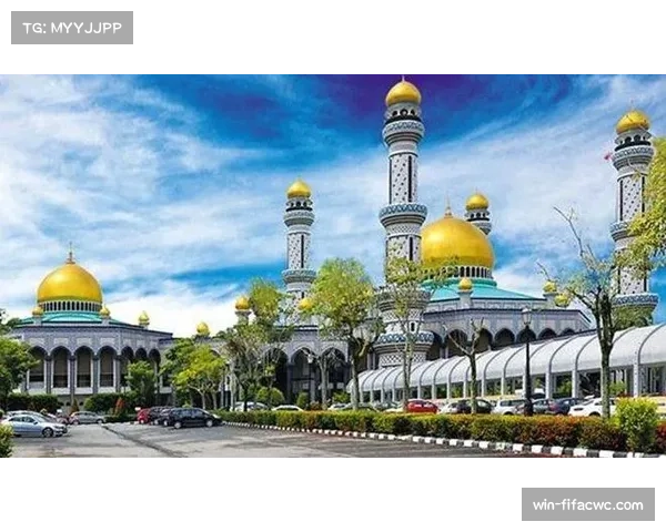 印度尼西亚十二比零大胜文莱为黑马之路奠定基础 印度尼西亚十二比零大胜文莱为黑马之路奠定基础